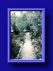 Thumbnail Garden of Gethsemane